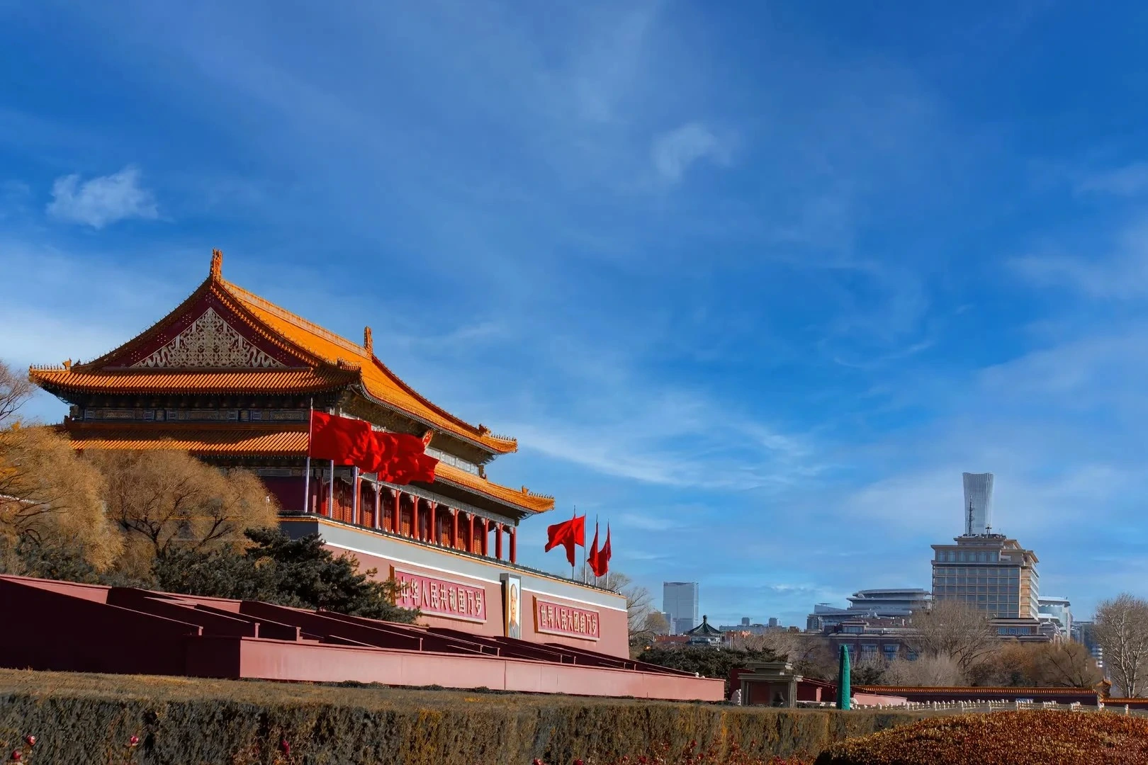 Desktop banner image 3